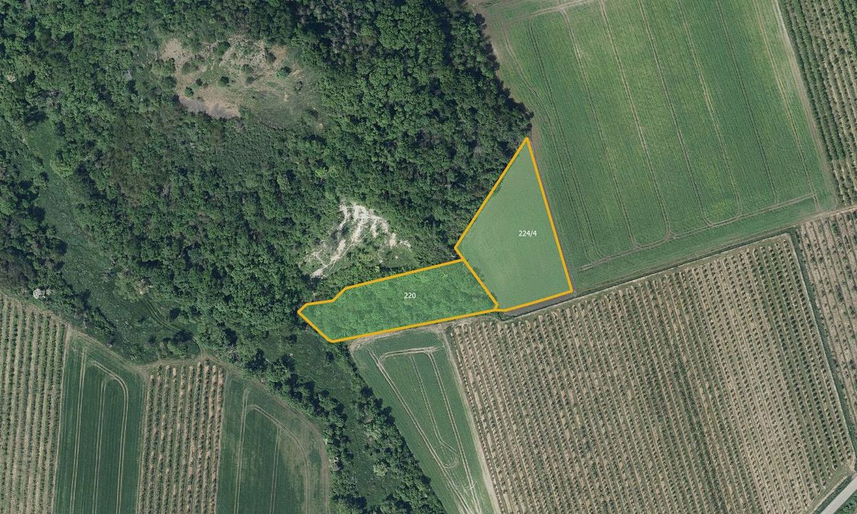 Prodej pole 28919 m², Želkovice – fotka 1 z 3
