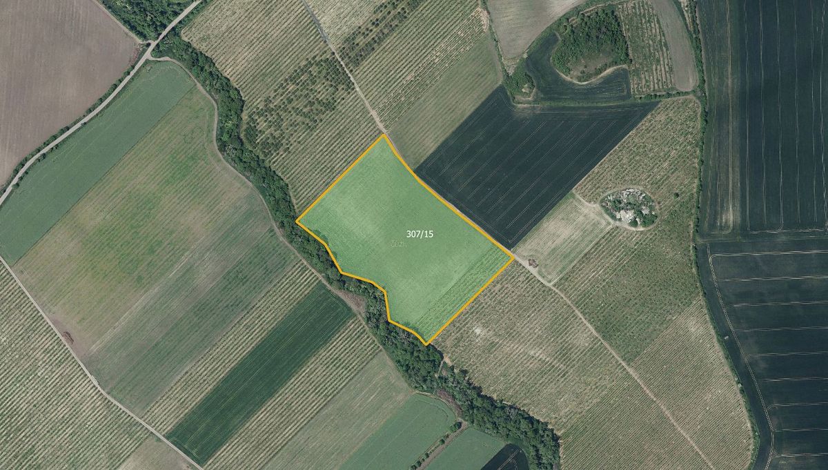 Prodej sadu, vinice 42369 m², Želkovice – fotka 1 z 3