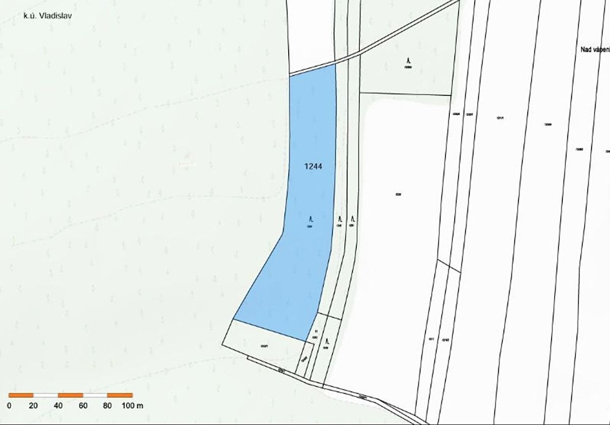Prodej lesa 9412 m² – fotografie 2