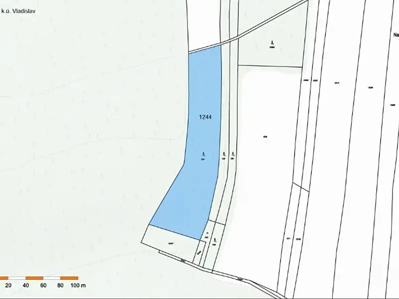Prodej lesa 9412 m², Vladislav – náhled fotky 2