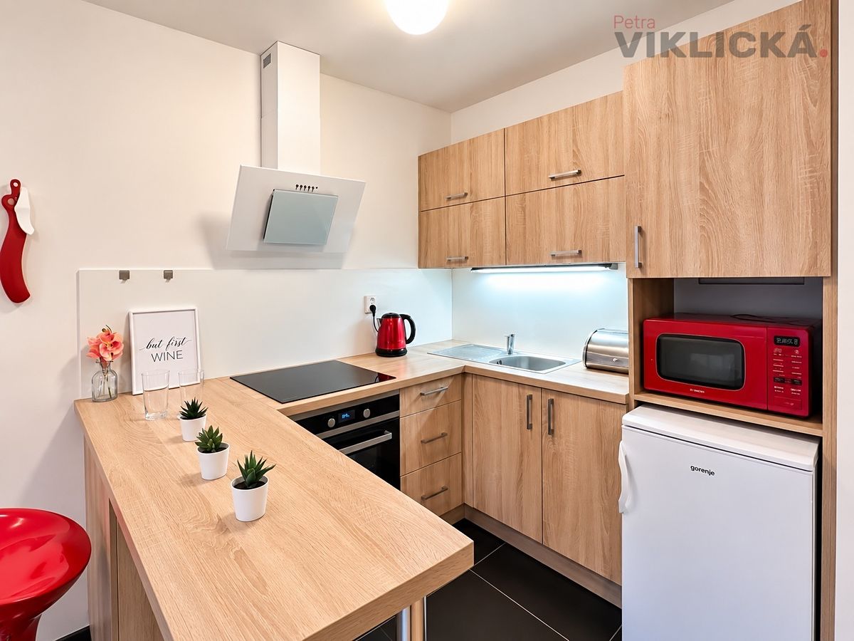 Pronájem bytu 1+kk 33 m² – fotografie 4