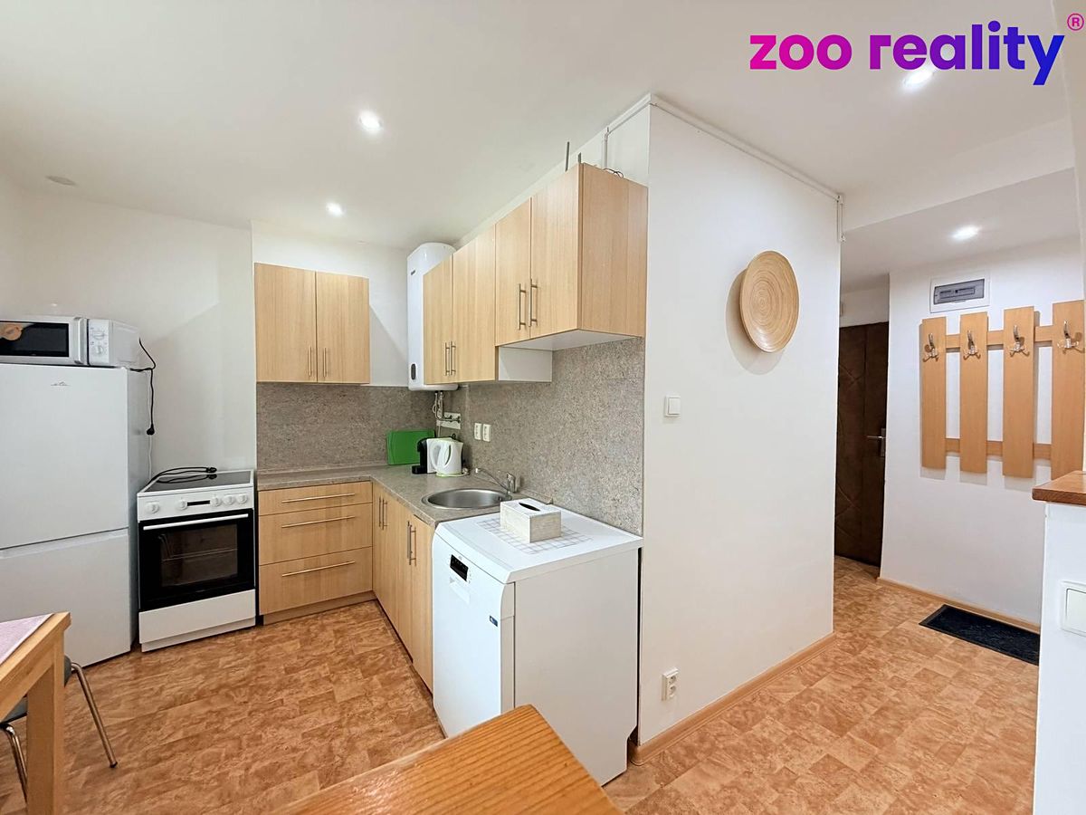 Pronájem bytu 1+1 35 m² – fotografie 2