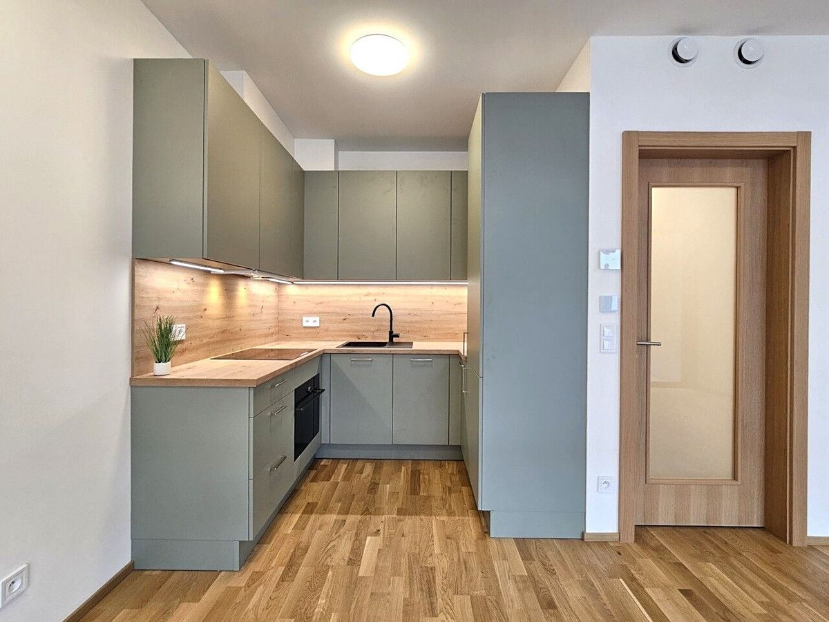 Pronájem bytu 1+kk 53 m² – fotografie 4