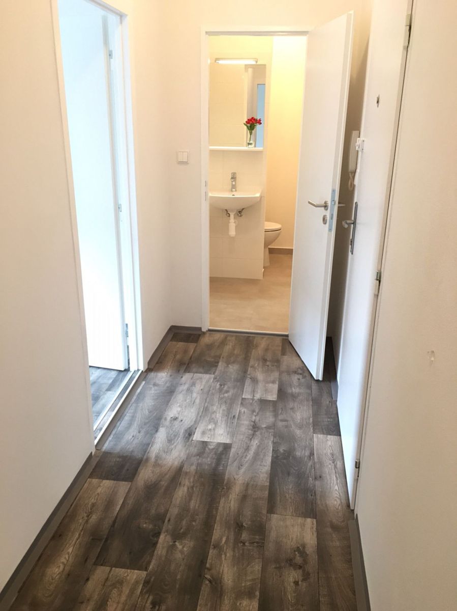 Pronájem bytu 2+1 44 m² – fotografie 3