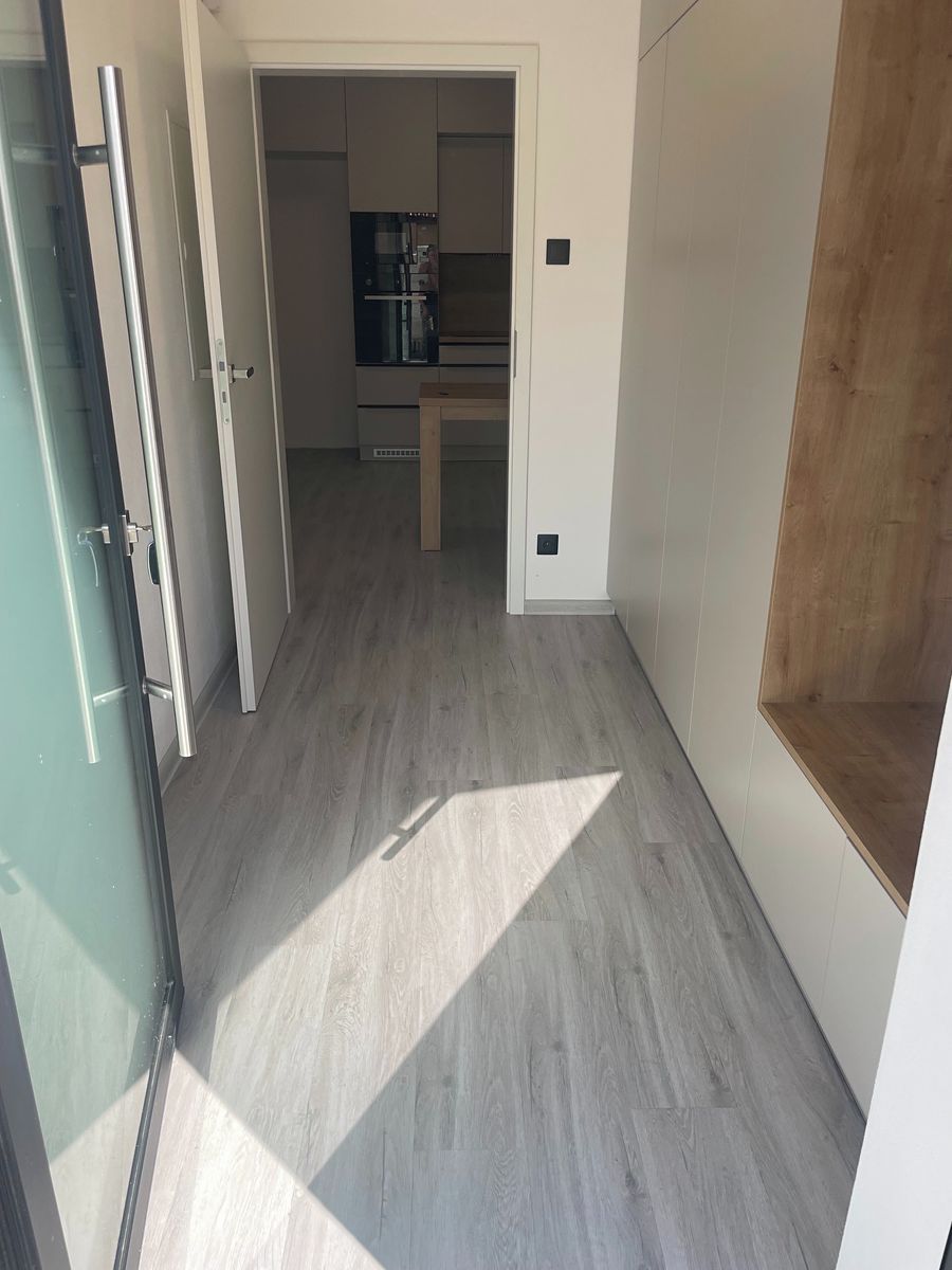 Pronájem bytu 1+kk 30 m² – fotografie 2