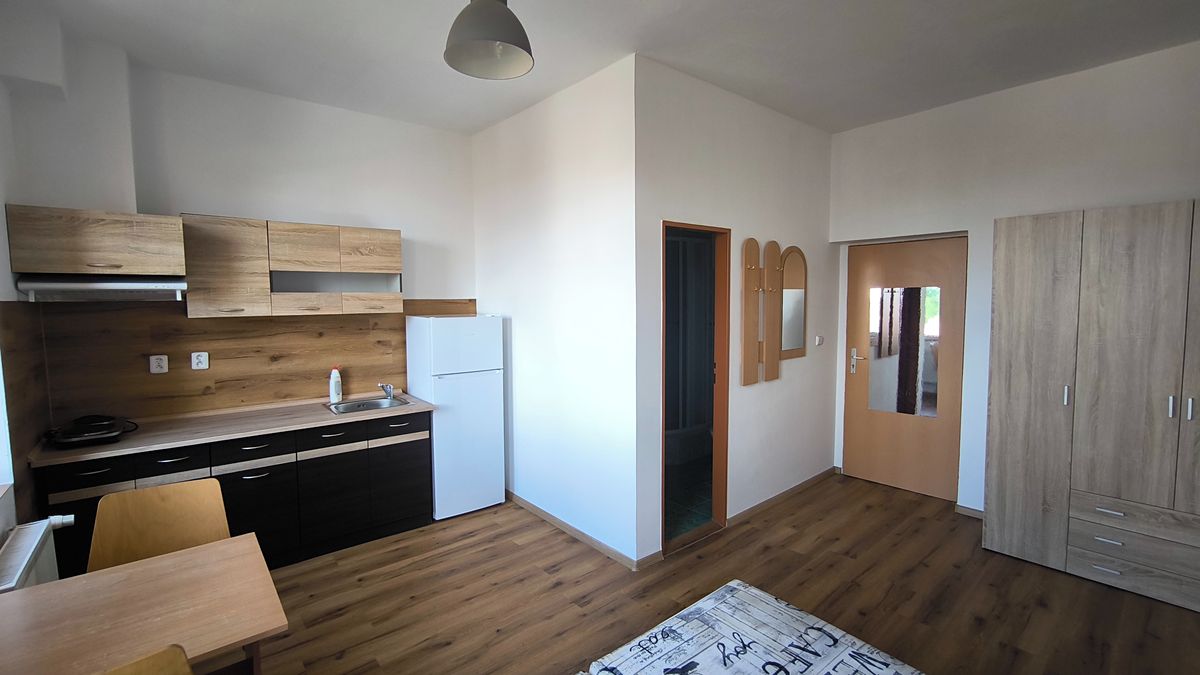 Pronájem bytu 1+kk 25 m²