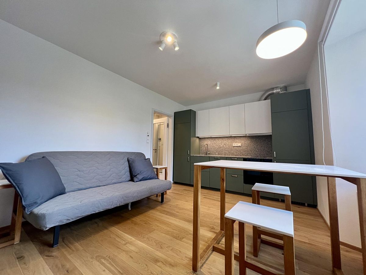 Pronájem bytu 1+kk 27 m² – fotografie 5