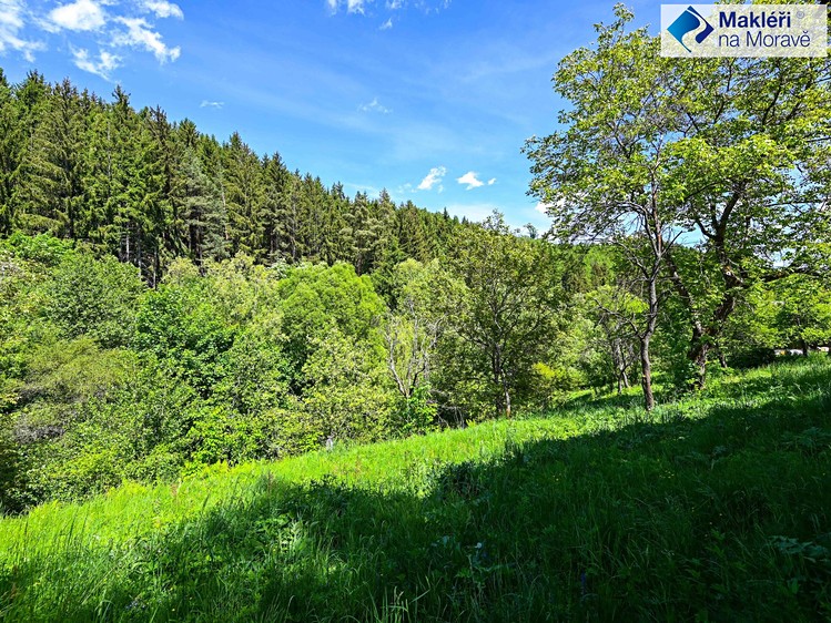 Prodej pozemku, 2 295 m² (8 z 9)