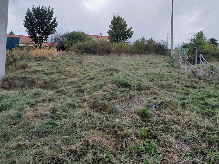 Grundstück zum Kauf, 703 m² (7 von 9)
