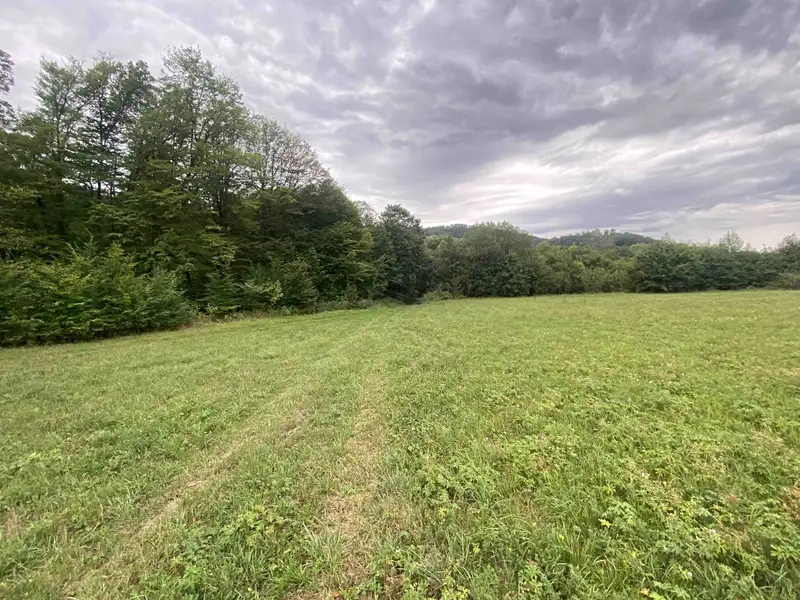 Dražba louky 950 m², Potštejn – náhled fotky 3