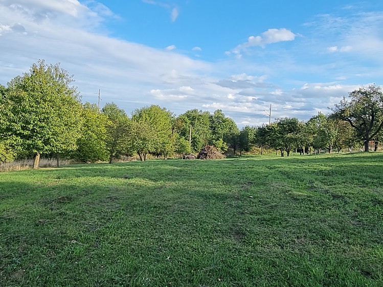 Grundstück zum Kauf, 3.197 m² (6 von 8)