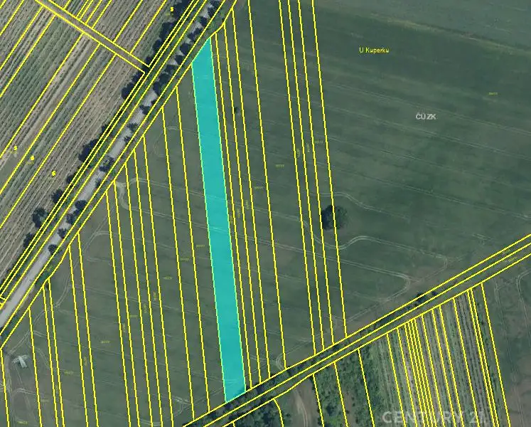 Prodej pole 4498 m², Valtice – náhled fotky 1