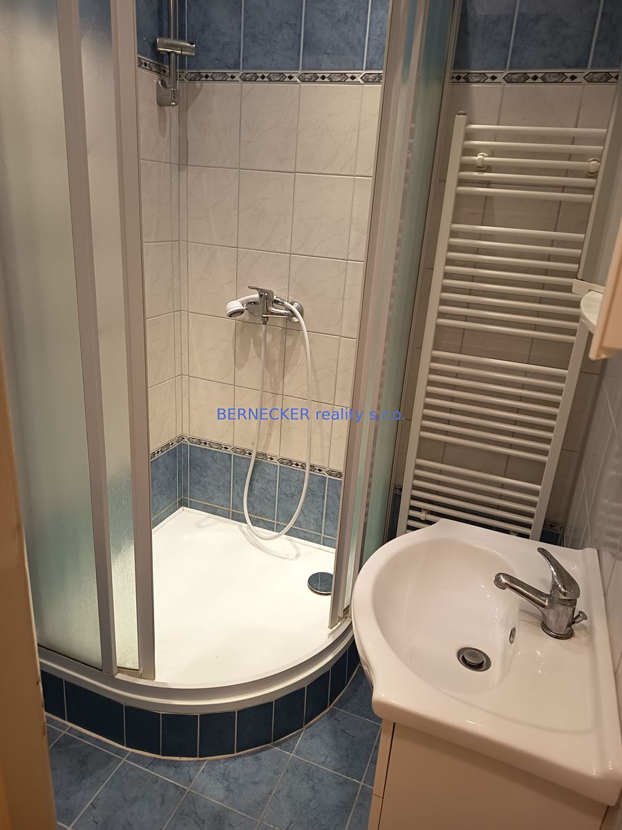 Pronájem bytu 1+1 41 m² – fotografie 4