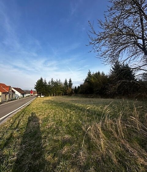 Grundstück zum Kauf, 1.159 m² (6 von 10)
