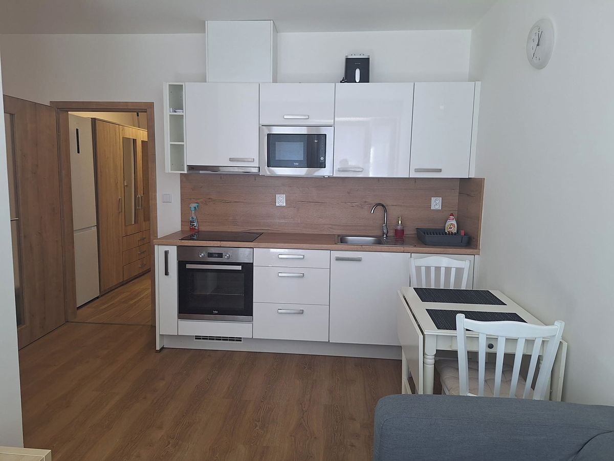 Pronájem bytu 1+kk 36 m² – fotografie 5