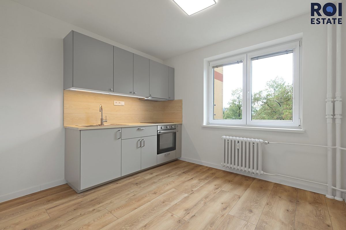 Pronájem bytu 1+1 39 m²