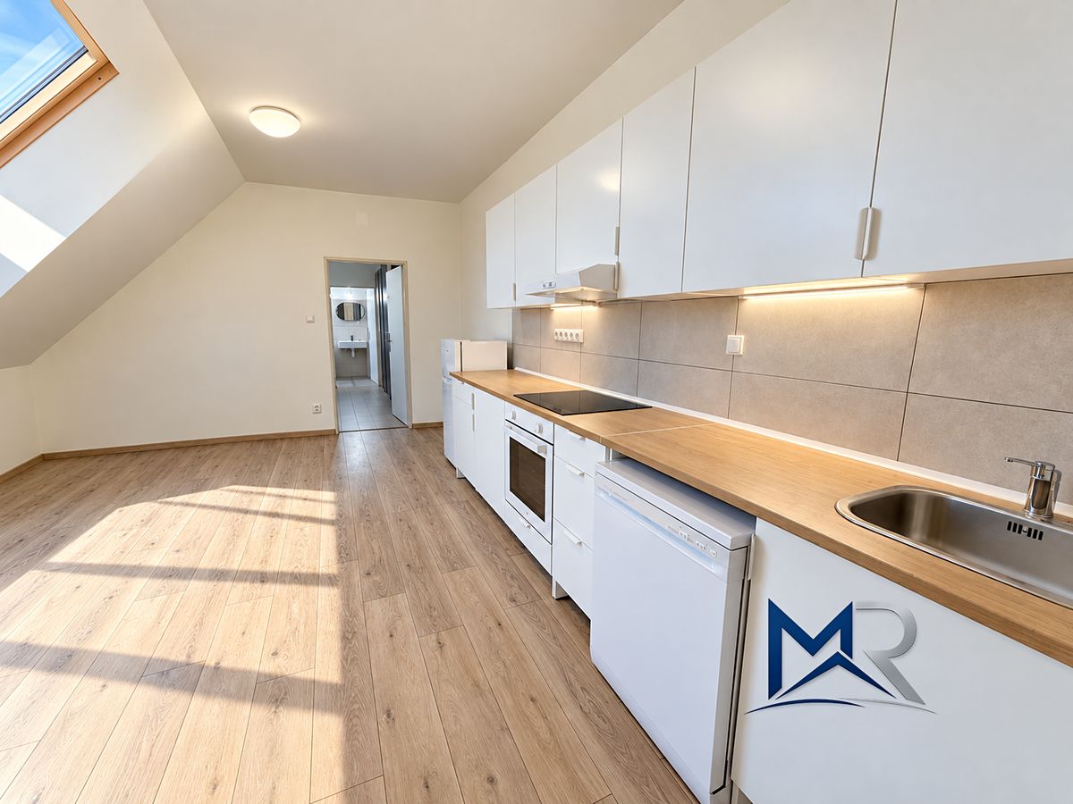 Pronájem bytu 2+kk 53 m²