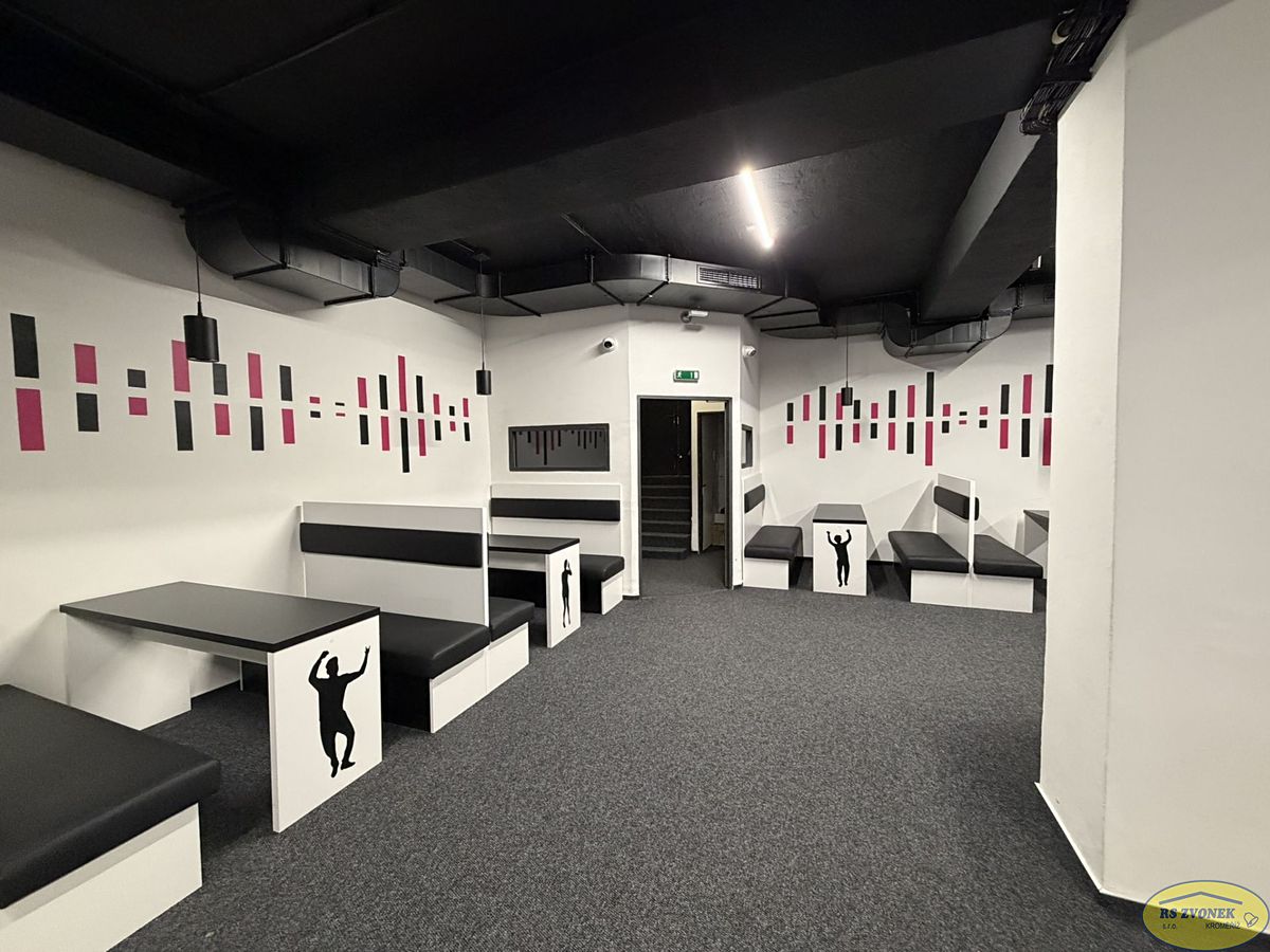 Pronájem komerční nemovitosti 250 m² – fotografie 3