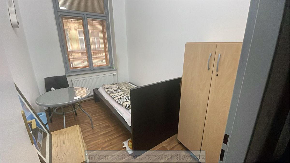 Pronájem bytu pokoje 16 m² – fotografie 3