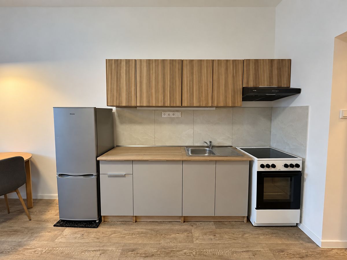 Pronájem bytu 1+kk 35 m²