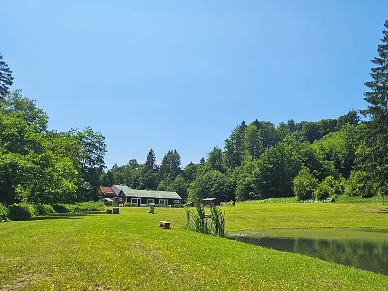 Prodej stavebního pozemku 4122 m², Zábřeh – náhled fotky 3