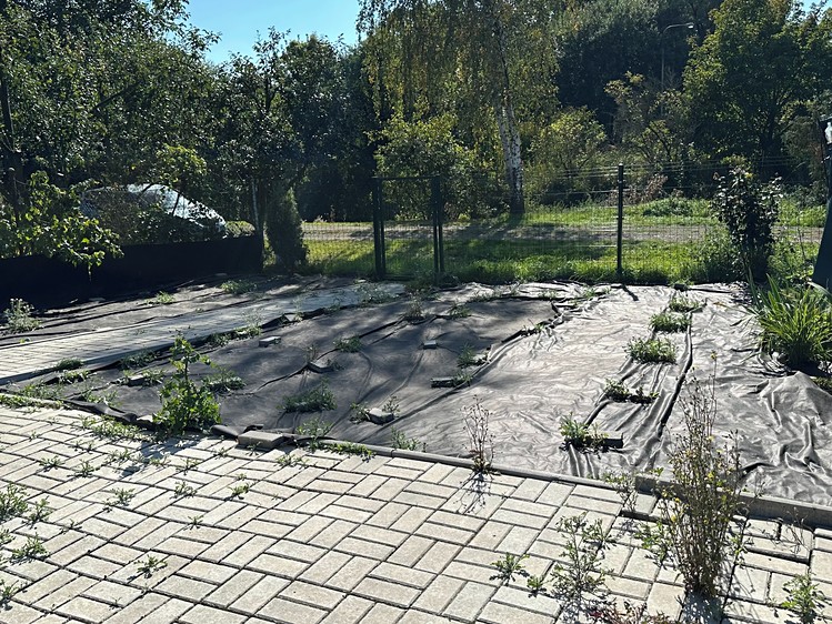Ділянка на продаж, 237 м² (10 з 33)