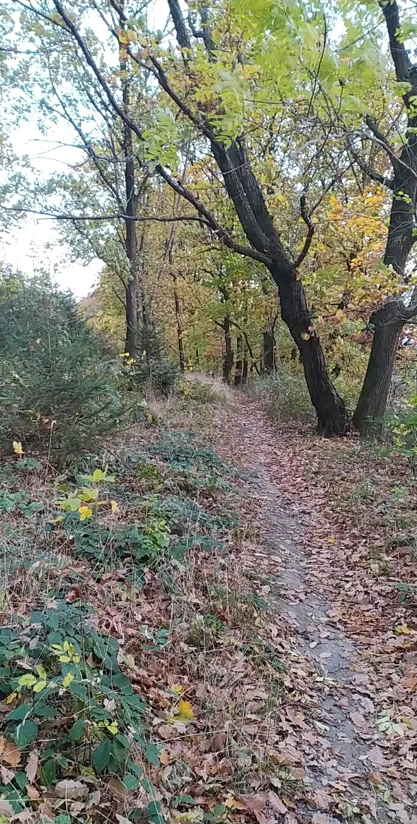 Fotka 9 z 15