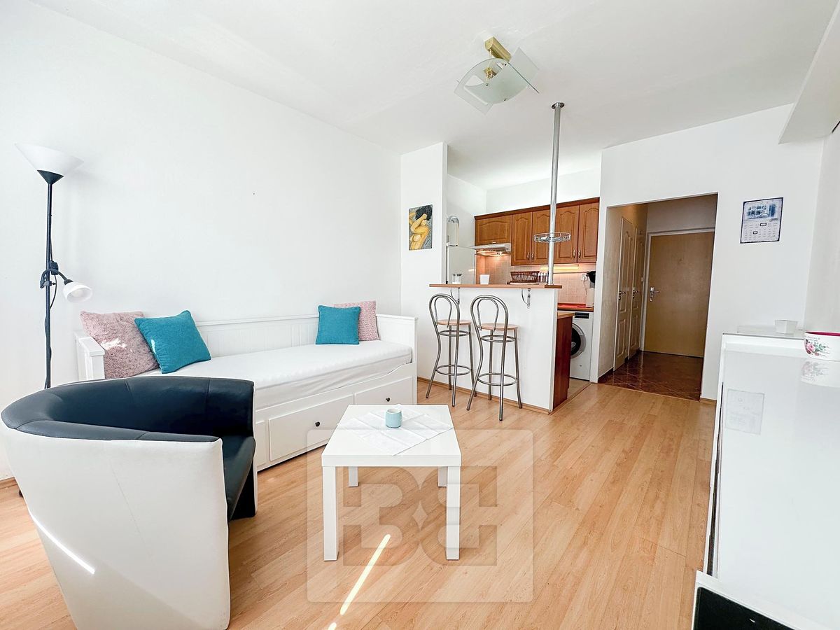 Pronájem bytu 1+kk 24 m²