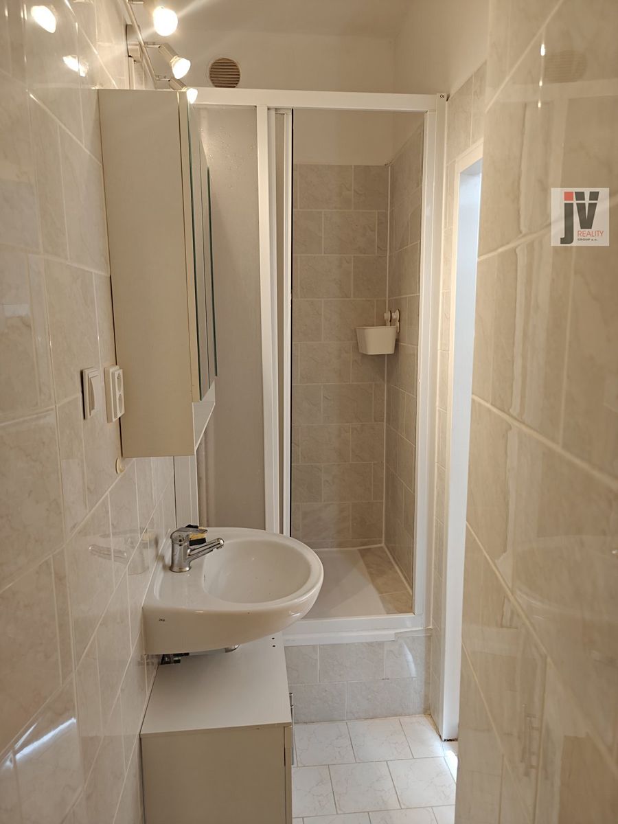 Pronájem bytu 1+1 39 m² – fotografie 3