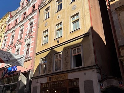 Haus zum Kauf, 260 m² (3 von 3)