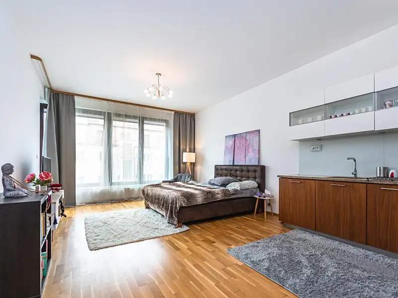 Pronájem bytu 2+kk 65 m², Praha – náhled fotky 1