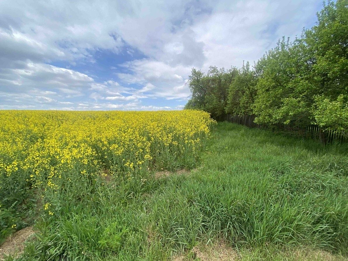 Dražba pole 1750 m², Řendějov – fotka 1 z 3