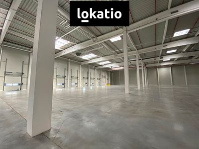 Pronájem skladového prostoru 4323 m²