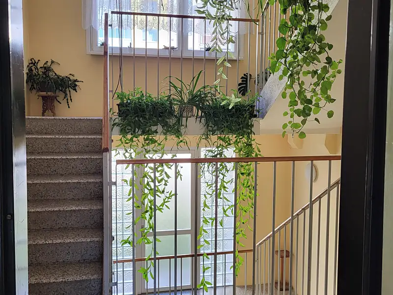 Pronájem bytu 1+1 44 m², Rumburk – náhled fotky 3