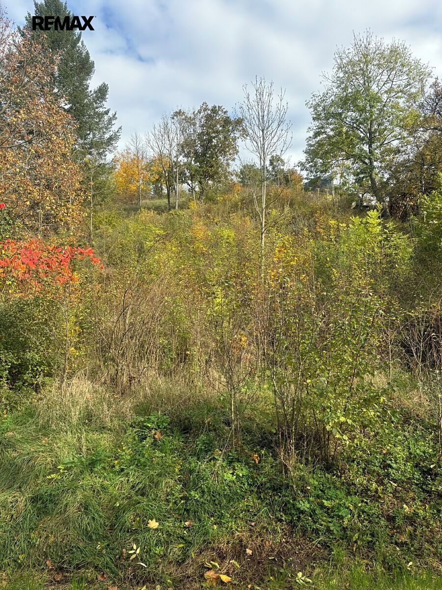 Prodej stavebního pozemku 1100 m² – fotografie 4