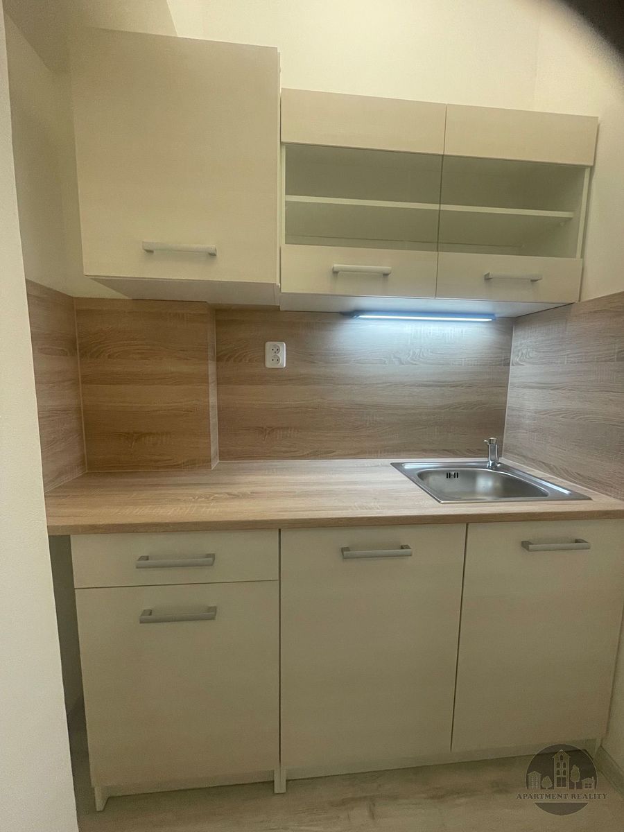 Pronájem bytu 1+kk 49 m² – fotografie 4