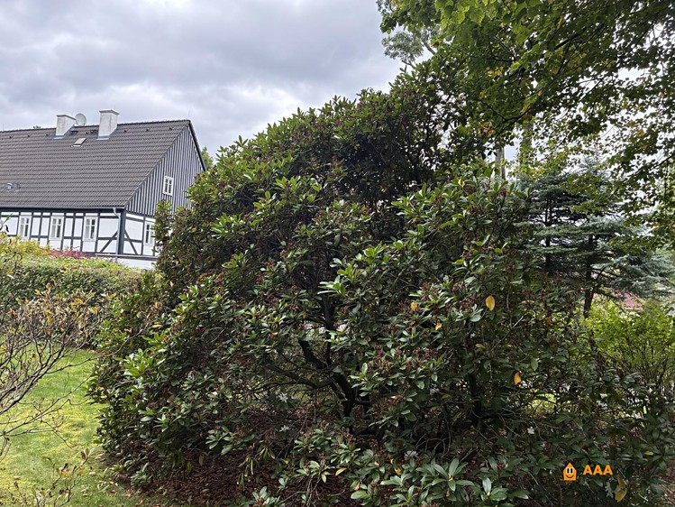 Haus zum Kauf, 276 m² (36 von 38)