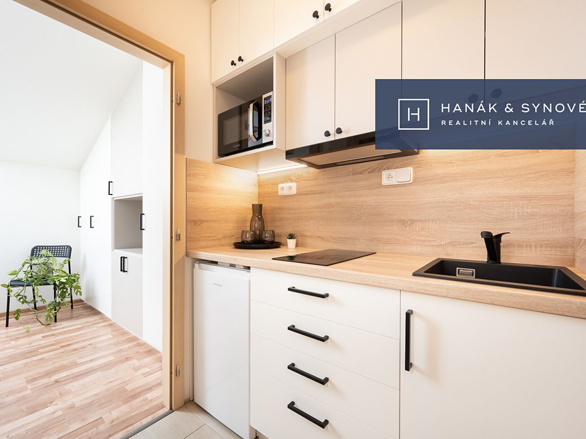 Pronájem bytu 1+kk 16 m² – fotografie 2