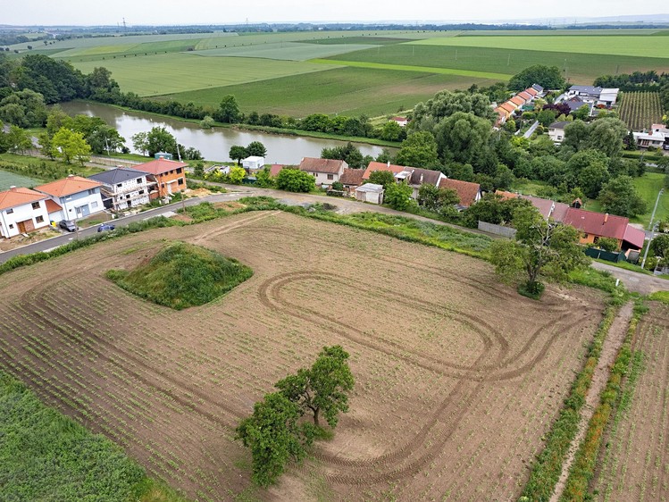 Ostatní