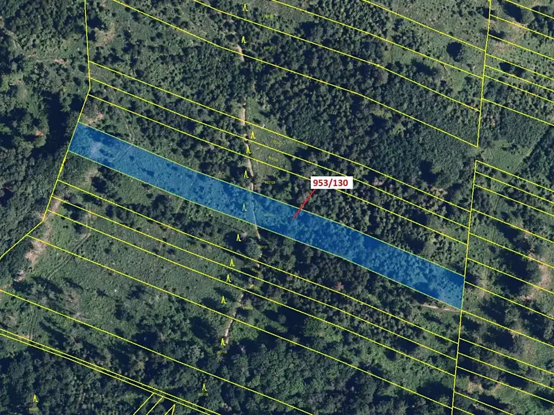 Dražba lesa 5079 m², Nová Hradečná – náhled fotky 2
