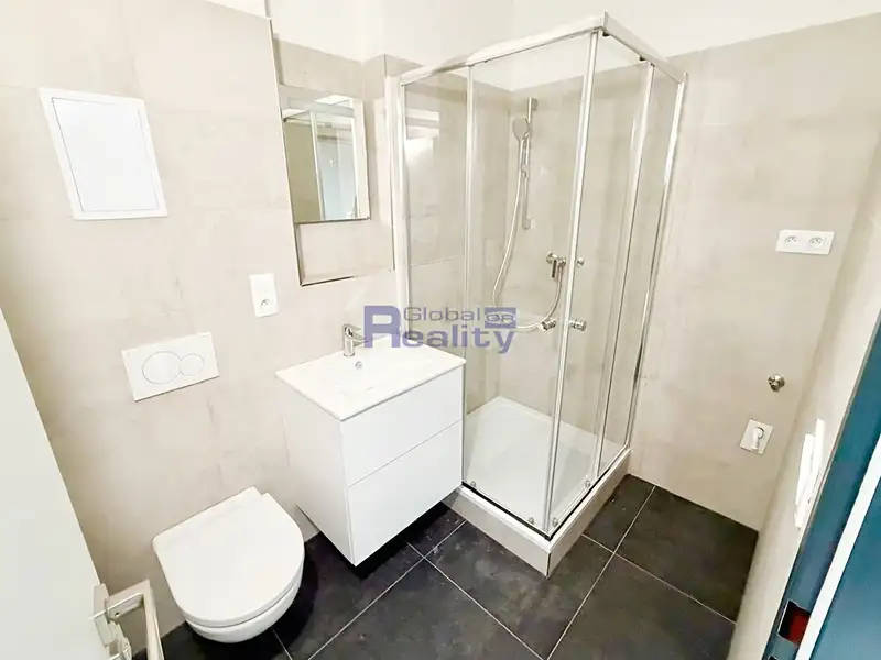 Pronájem bytu 1+kk 23 m², Pardubice – náhled fotky 3