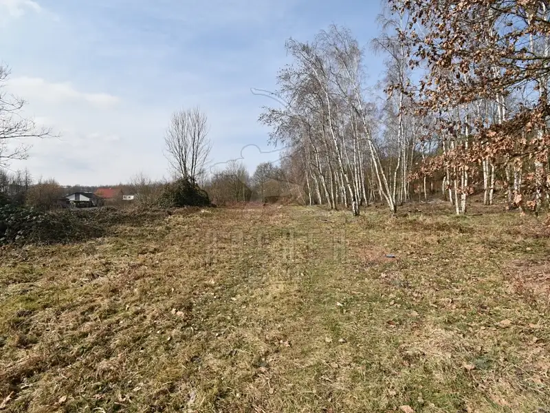 Prodej stavebního pozemku 6184 m², Dubí – náhled fotky 1
