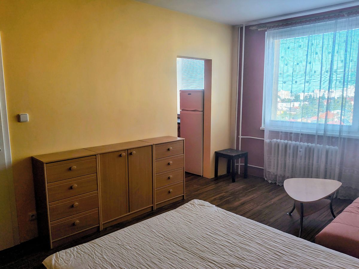 Pronájem bytu 1+kk 29 m²