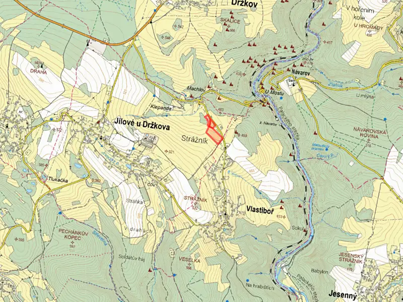 Prodej louky 5847 m², Jílové u Držkova – náhled fotky 2