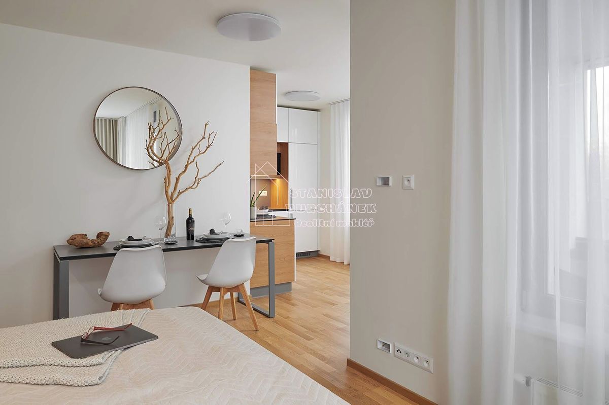 Pronájem bytu 1+kk 46 m² – fotografie 5