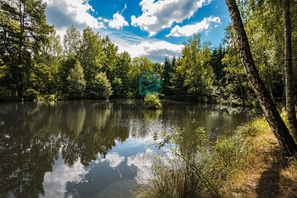 Prodej pozemku 6805 m² – fotografie 4