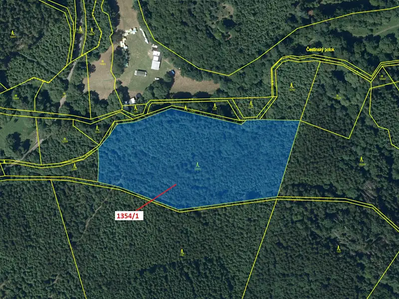 Dražba lesa 13976 m², Čestín – náhled fotky 2