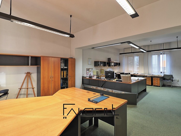 Gewerbefläche zum Kauf, 225 m² (13 von 28)