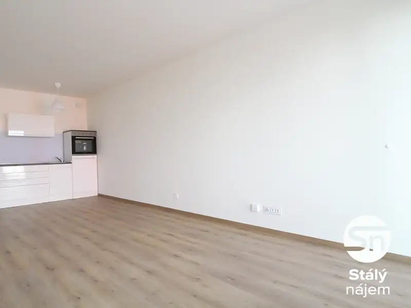Pronájem bytu 1+kk 43 m², Praha – náhled fotky 3
