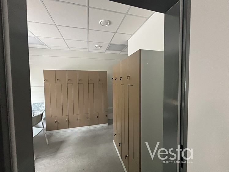 Pronájem komerčního prostoru, 689 m² (8 z 12)